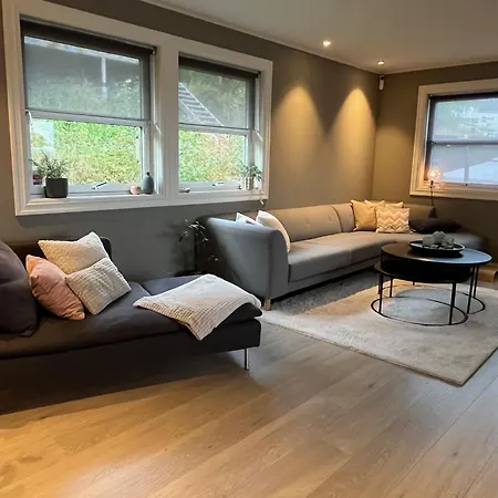 Enebolig Til Utleie Casa vacanze Trondheim